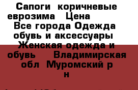 Сапоги ,коричневые еврозима › Цена ­ 1 000 - Все города Одежда, обувь и аксессуары » Женская одежда и обувь   . Владимирская обл.,Муромский р-н